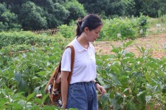 文学院“杨花书途，墨韵传志”暑期实践团赴杨花村调研：聚焦文旅项目，助力乡村振兴