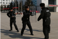 【春雷行动】冰城公安：常亮警灯铸平安  前置服务暖企心