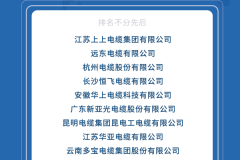 2024中国电线电缆十大质量放心企业荣耀发布