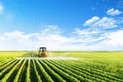 现代化农业： 推动农业发展的关键