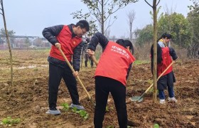 兰溪平安产险：植绿九畹兰花基地，共绘乡村振兴蓝图