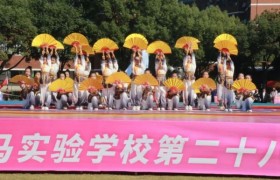 海亮教育·天马实验学校 第二十八届田径运动会