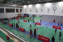 2020 首届“东风日产杯”央企机关羽毛球邀请赛成功举办